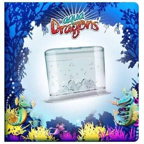 World's Smallest Aqua Dragons