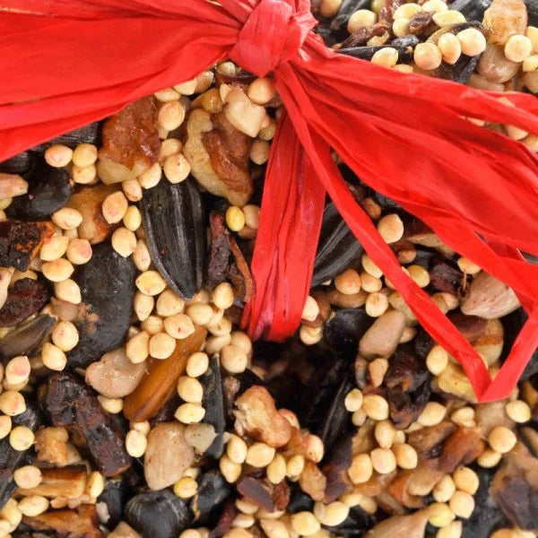 Wild Bird Seed Outdoor Heart Ornament Mr Bird 