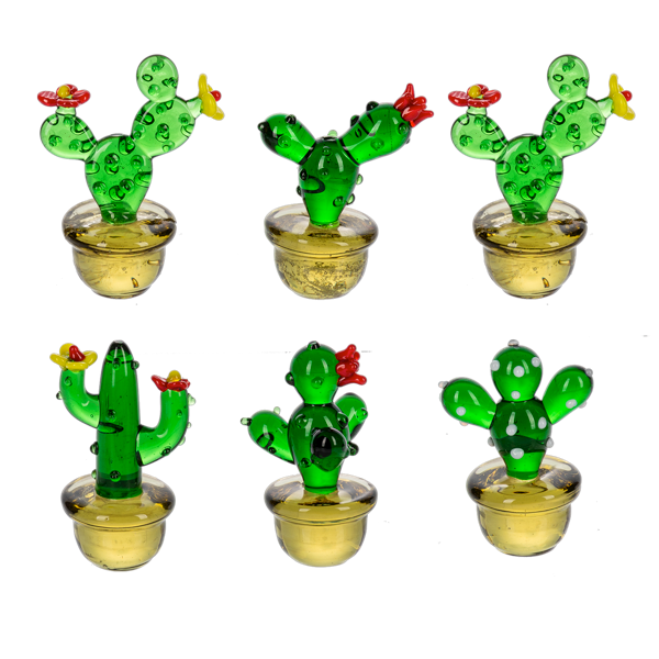 Mini Glass Cactus, Dotty