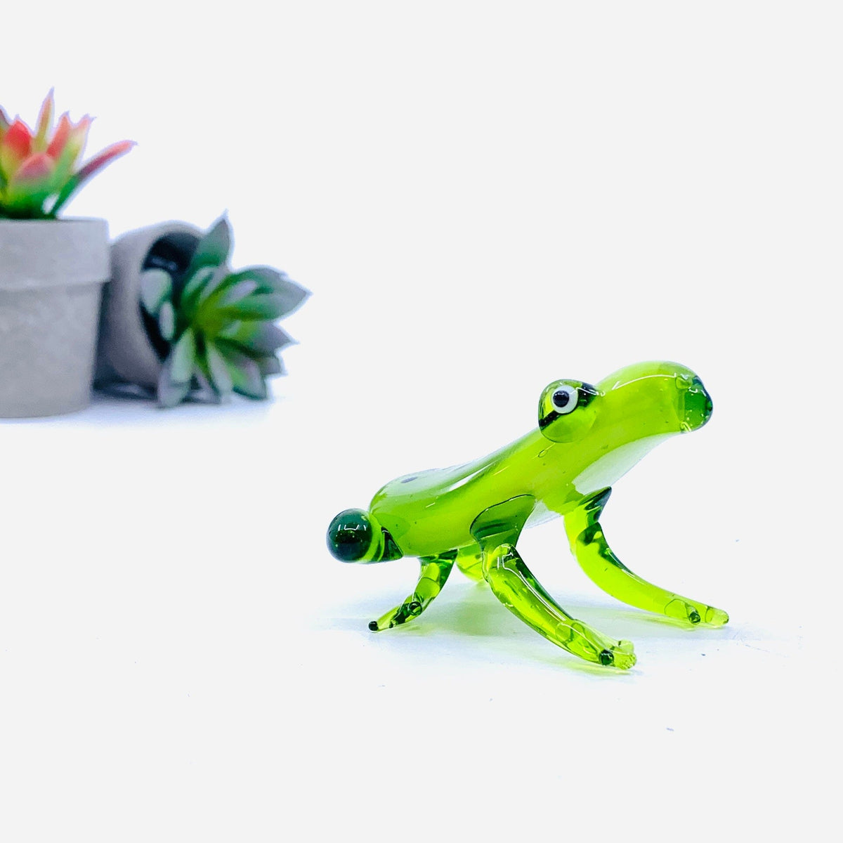 Pocket Frog Miniature gift essentials 