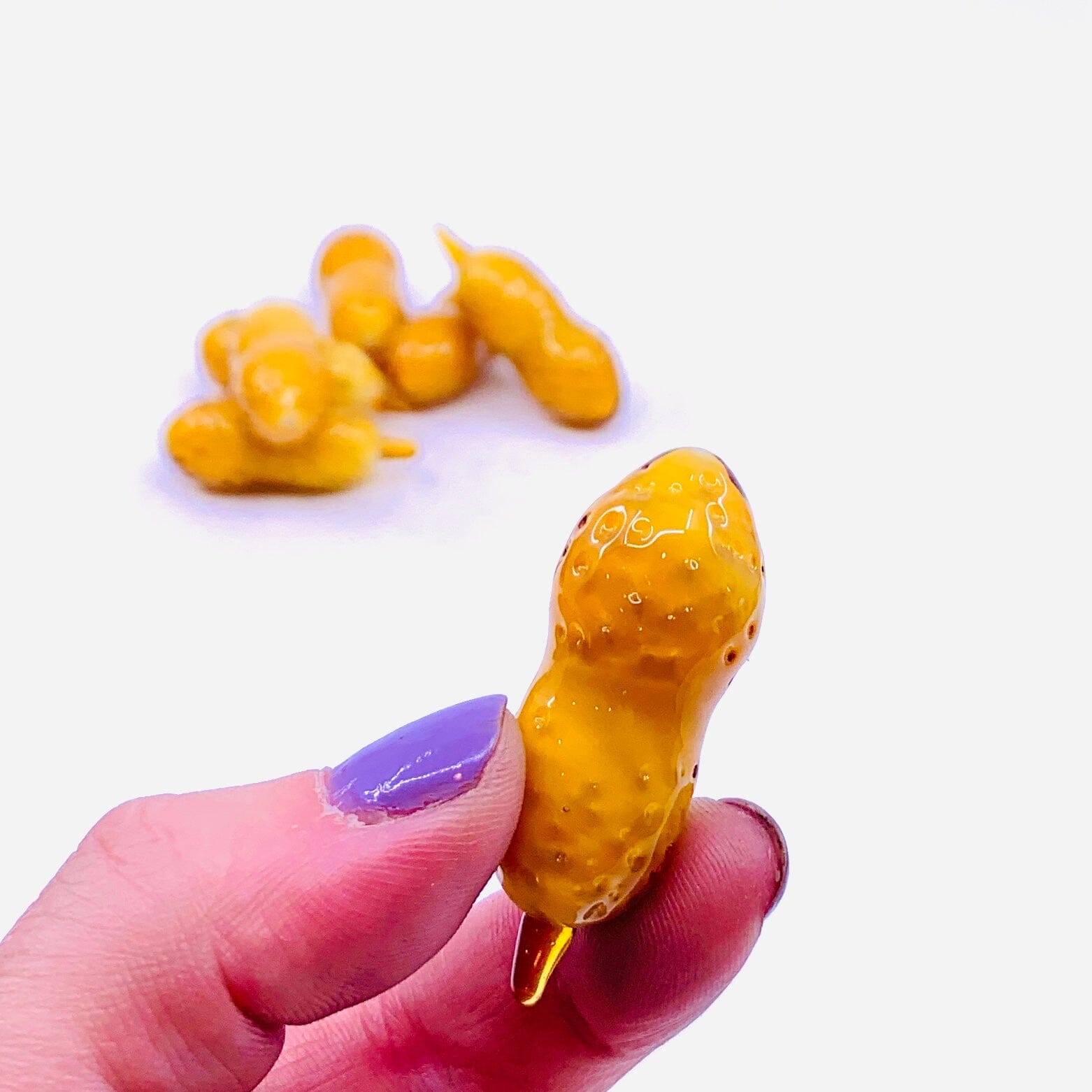 Peanut 77 Miniature Alex 