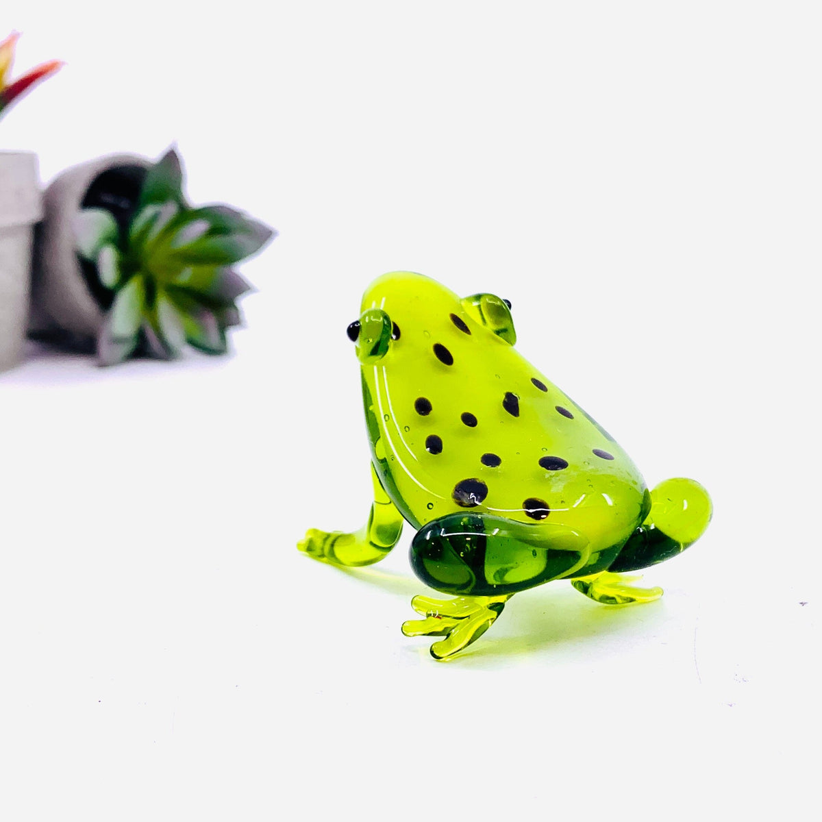 Pocket Frog Miniature gift essentials 