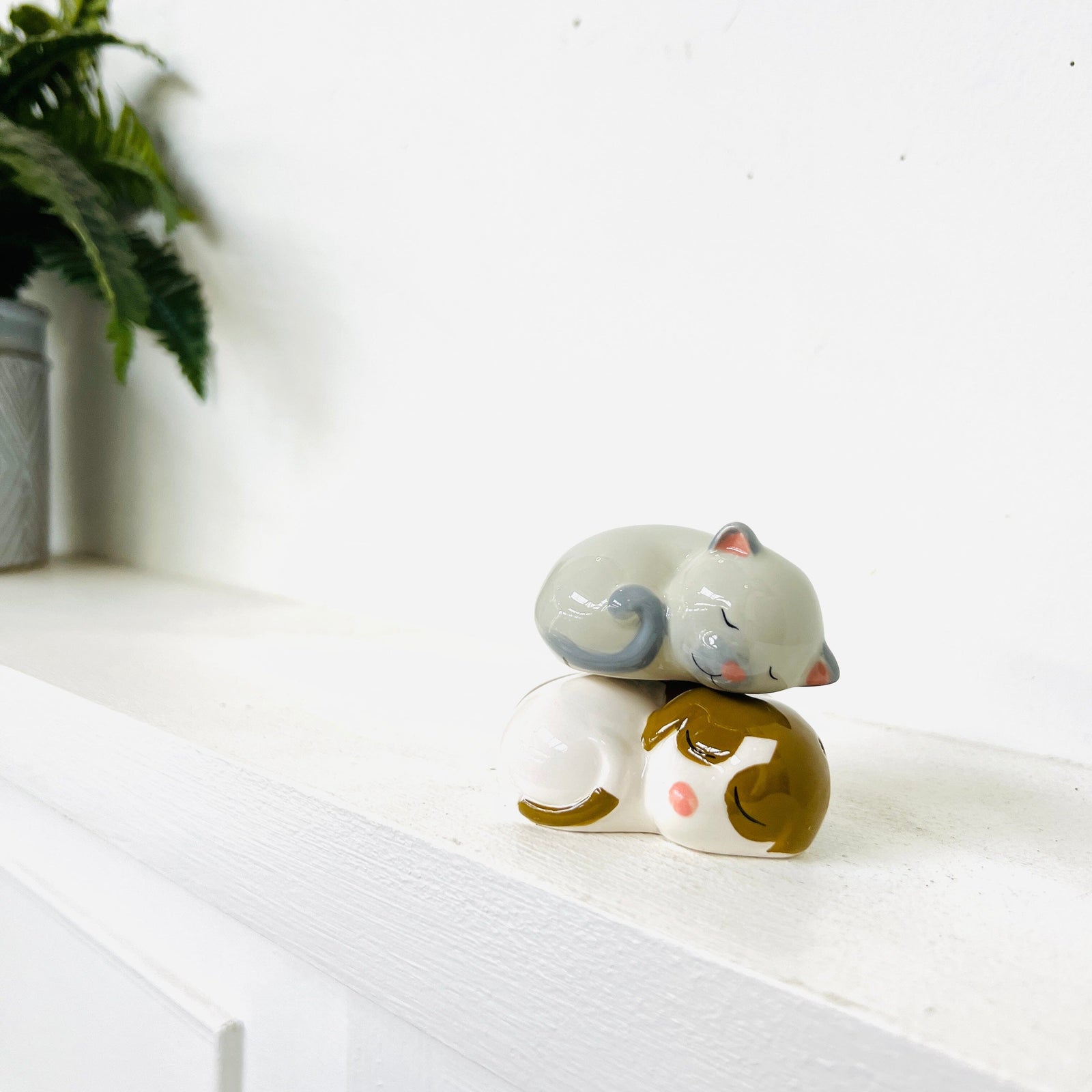 Best Friends Salt and Pepper Shakers Decor One Hundred 80 Degrees 