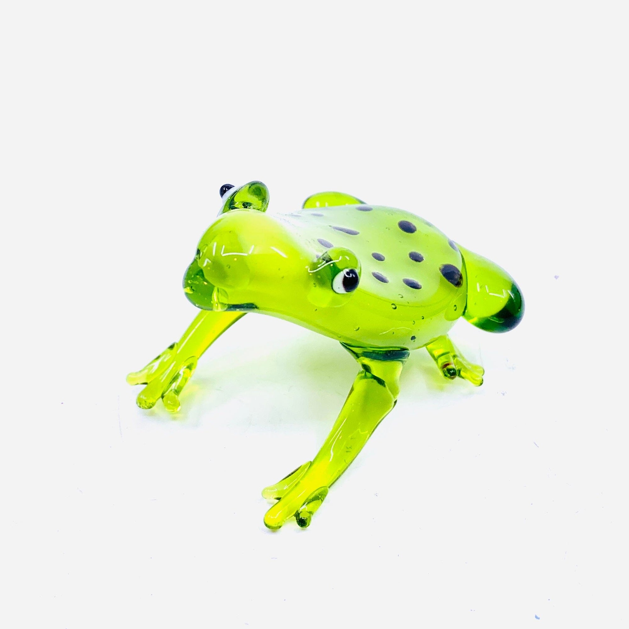 Pocket Frog Miniature gift essentials 