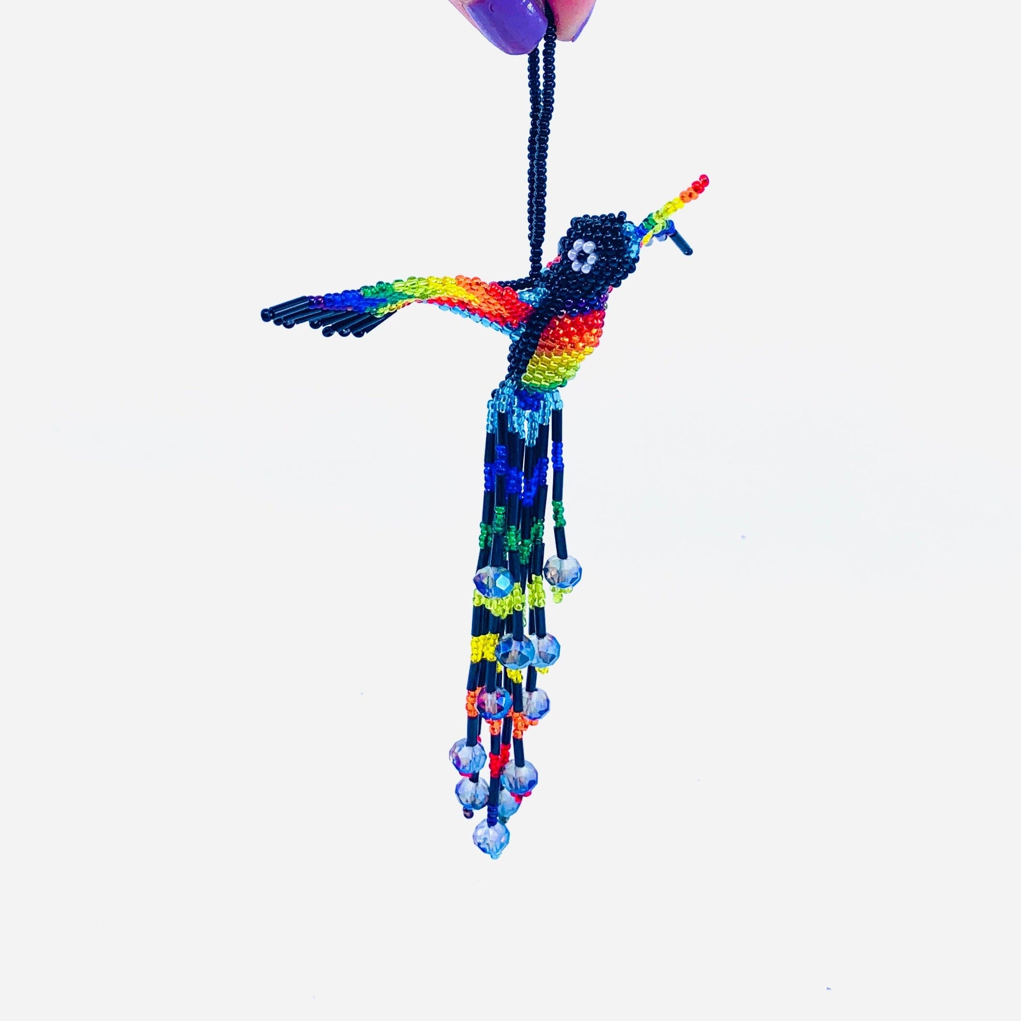 Rainbow Hummingbird Ornament 12, Black Ornament Pichincha 