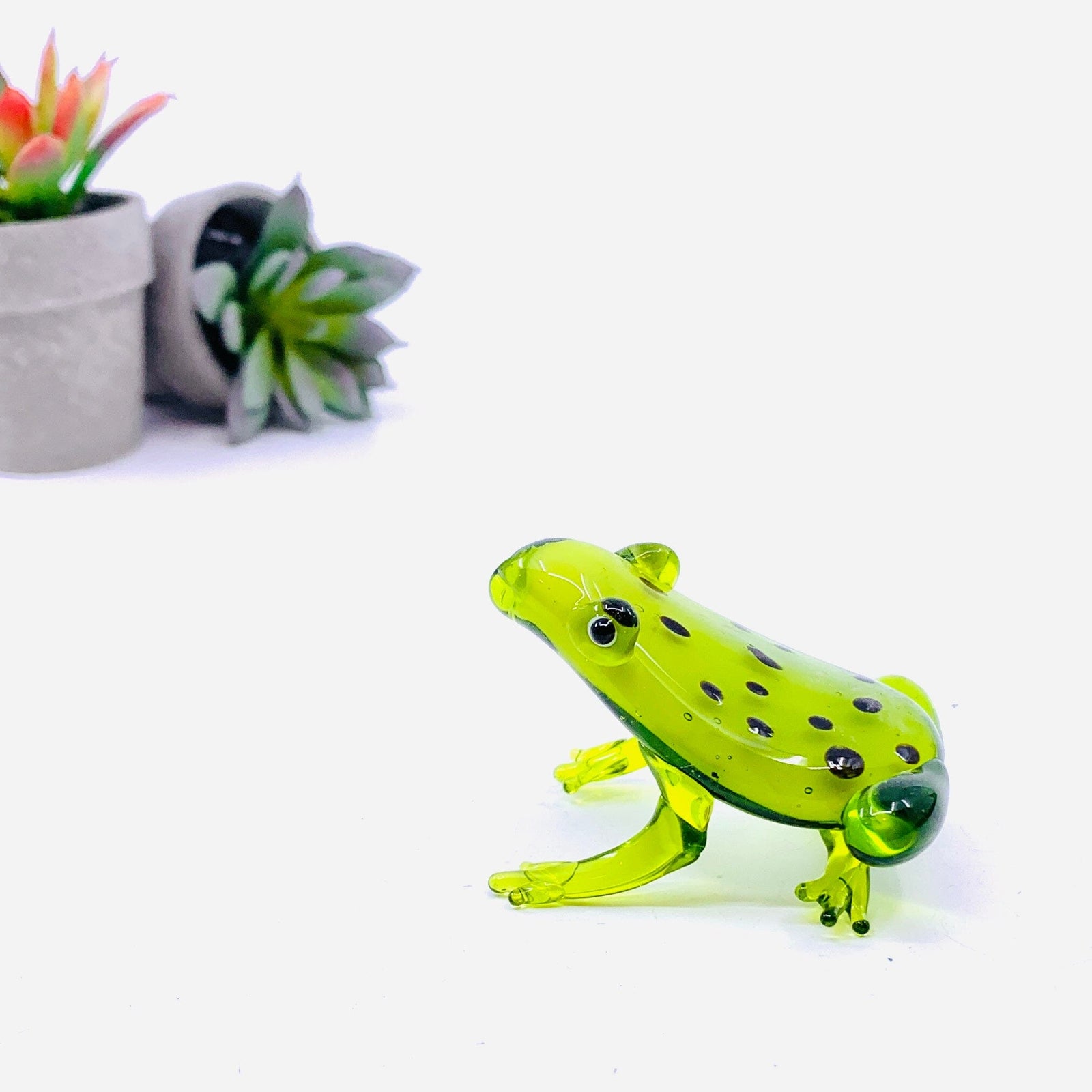 Pocket Frog Miniature gift essentials 