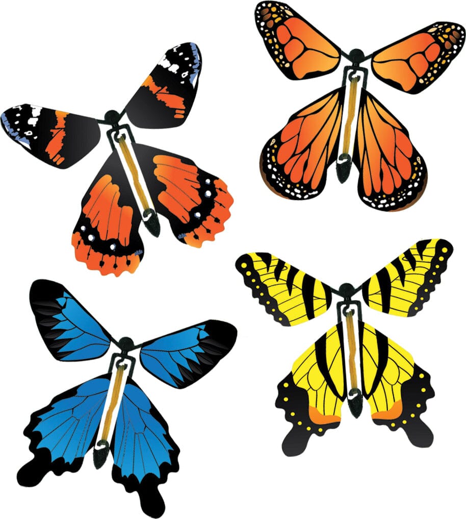 Wind Up Butterflies Insect Lore 