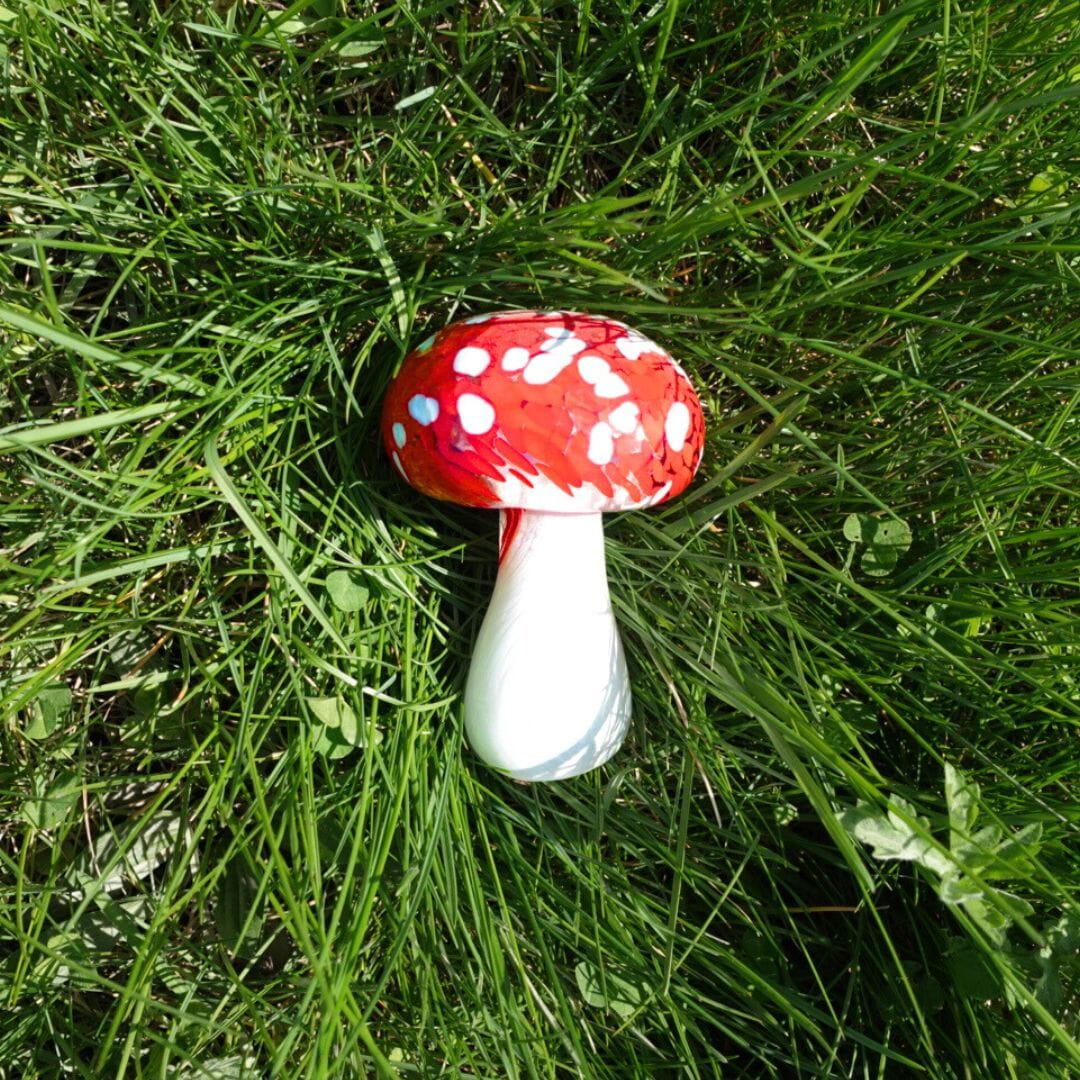 Daily Mushroom 2 Red Facebook Live Luke Adams Glass Blowing Studio 