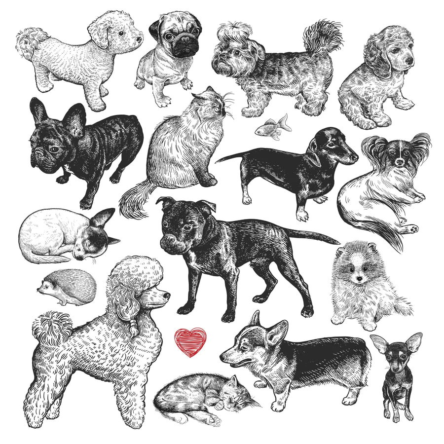 Wooden Puzzle In A Pass It On Pouch 5, Pet Show TROVE 