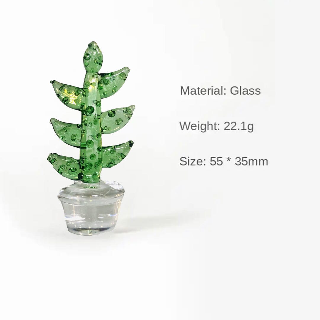 Glass Cactus Fern Miniature - 