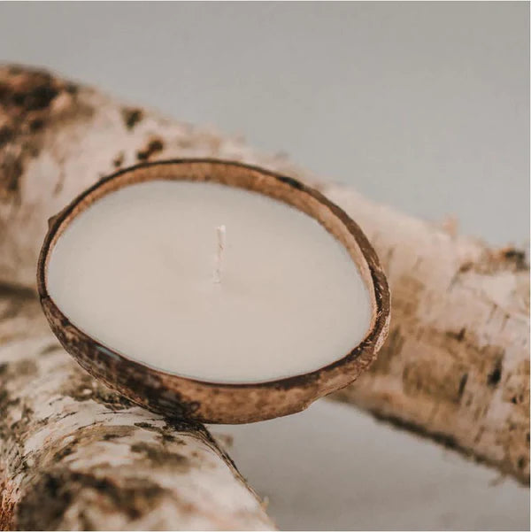 Coconut Shell Candle, White Birch Decor Backyard Candles 
