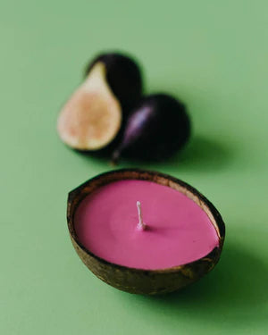 Coconut Shell Candle, Fig &amp; Plum Decor Backyard Candles 