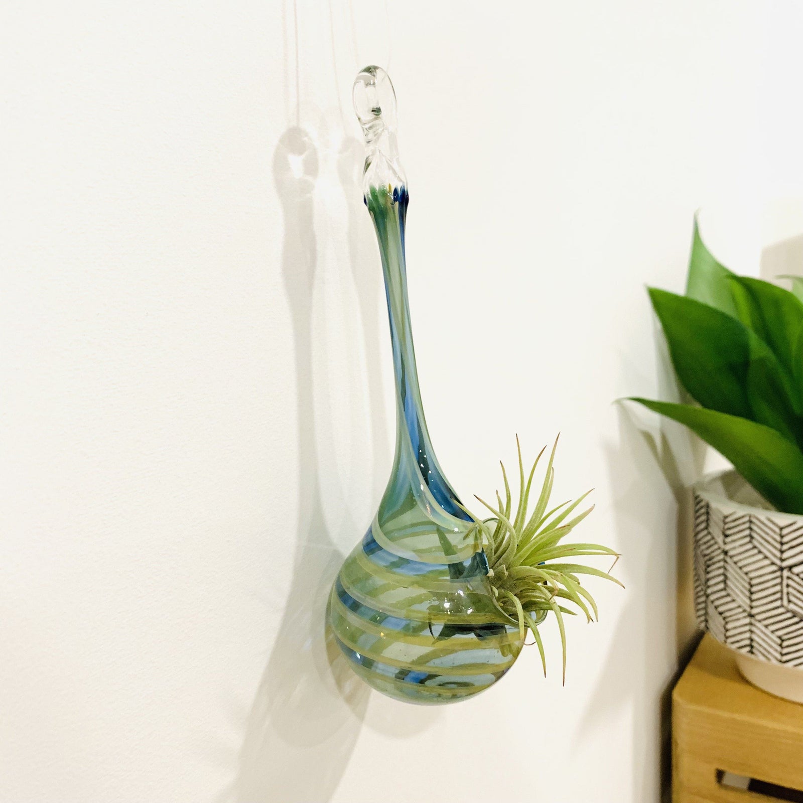 Air Plant Hanging Drop Vase 205 Probstein Studios 