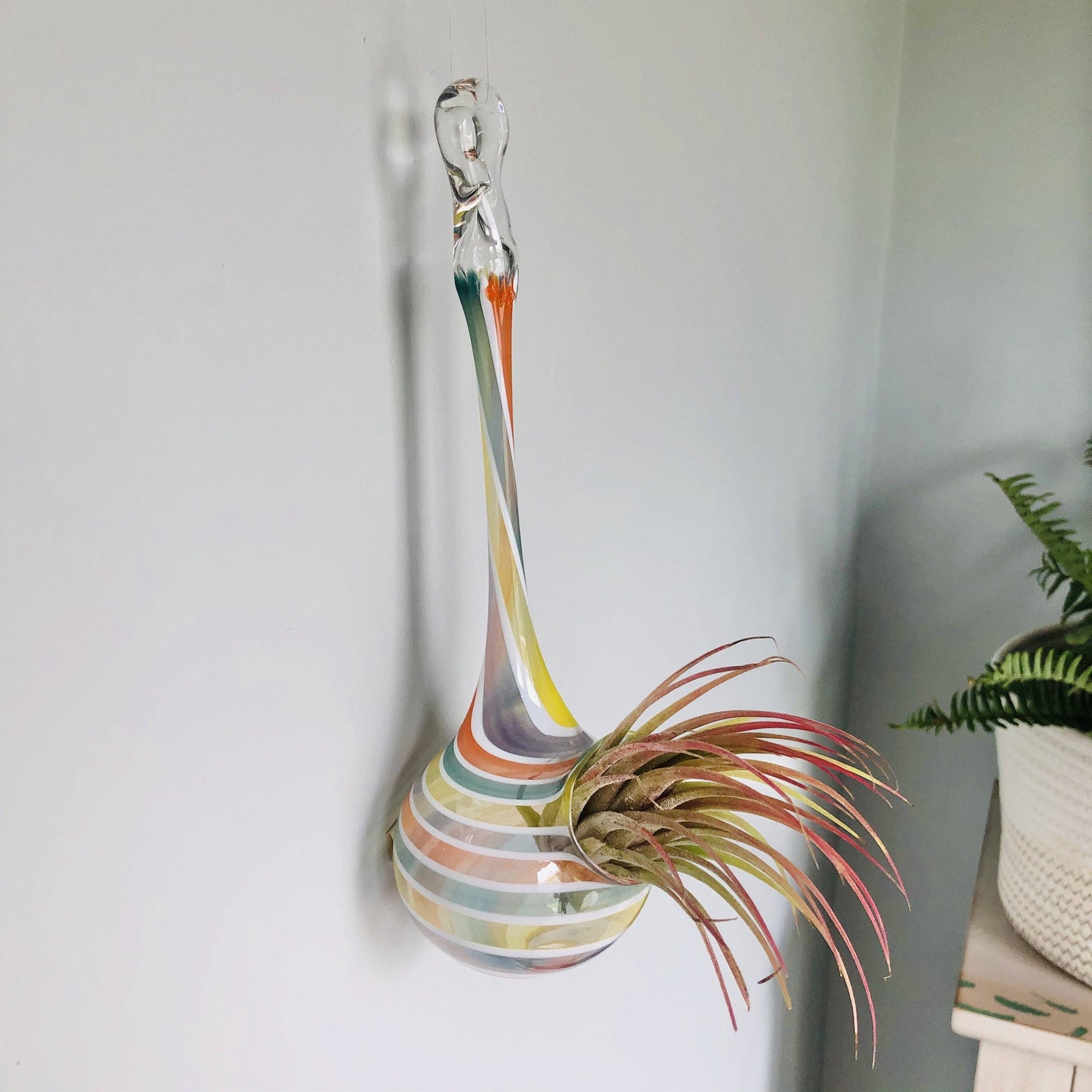 Air Plant Hanging Drop Vase 112 Luke Adams Glass Blowing Studio 