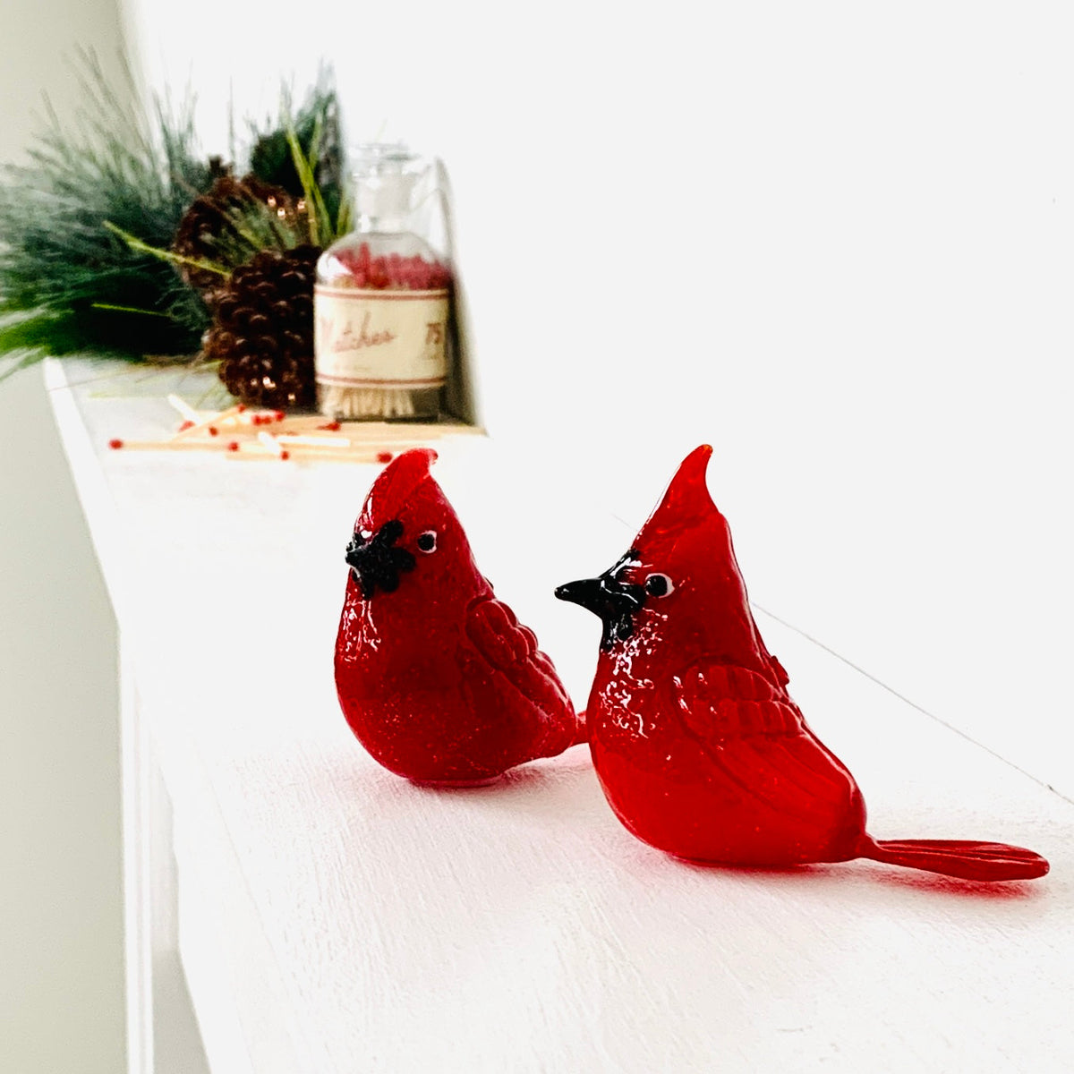 Glass Salt and Pepper Shakers, Cardinals Gift Essentials 
