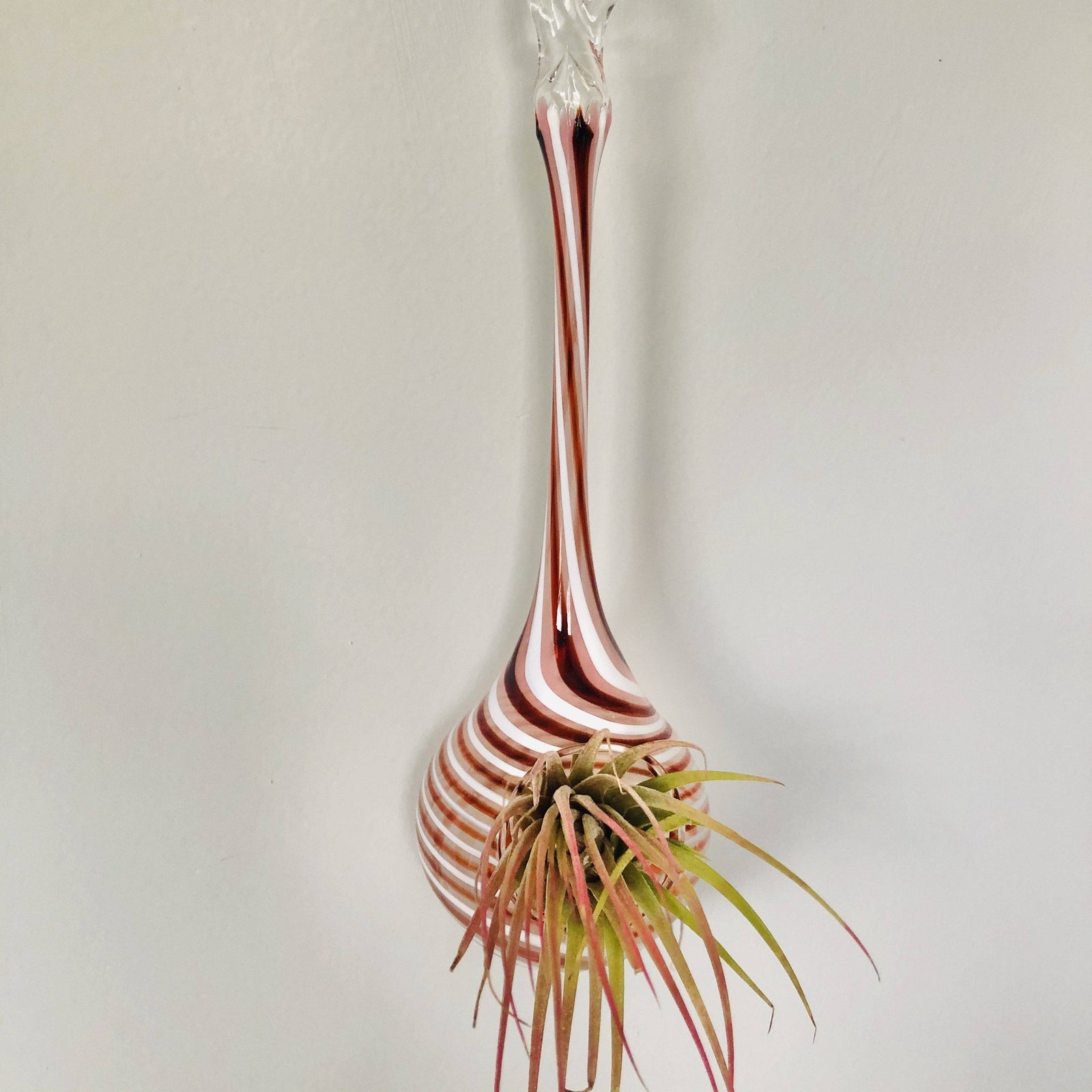 Air Plant Hanging Drop Vase 154 Luke Adams Glass Blowing Studio 