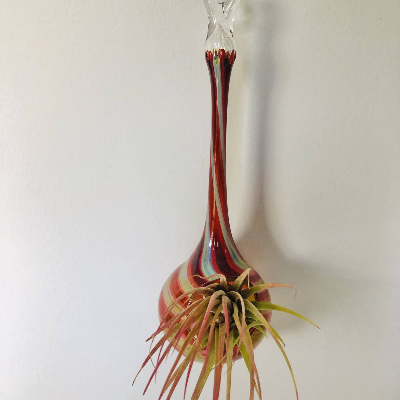 Air Plant Hanging Drop Vase 132 Luke Adams Glass Blowing Studio 