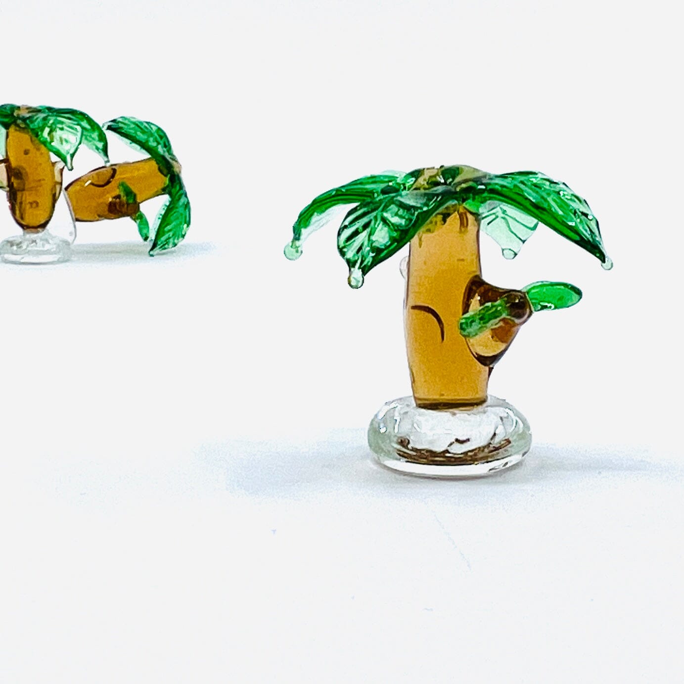 Tiniest Tropical Palm 46 Miniature - 