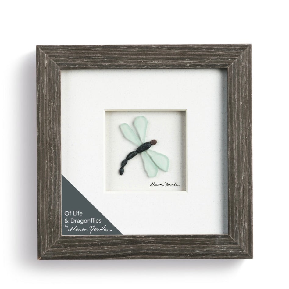 Shadow Box Frame, Of Life & Dragonflies Decor Demdaco 