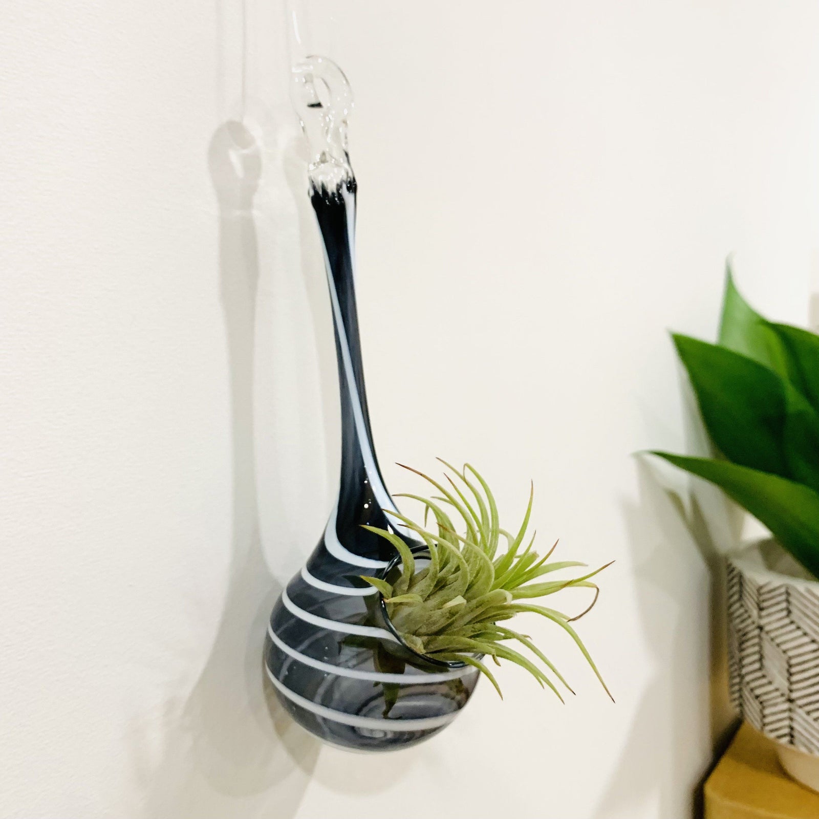Air Plant Hanging Drop Vase 206 Decor Probstein Studios 
