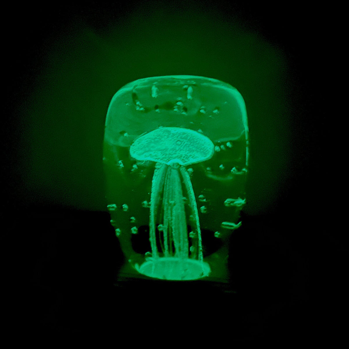 Glow in the Dark Jellyfish Paperweight Block, Turquoise Decor Chesapeake Bay 