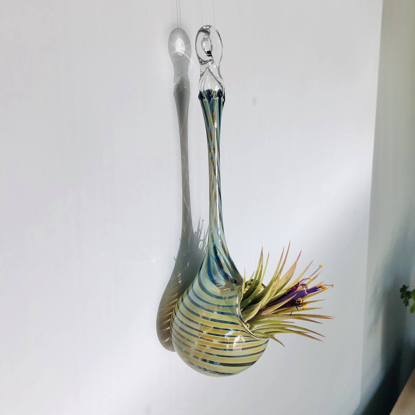 Air Plant Hanging Drop Vase 189 Luke Adams Glass Blowing Studio 