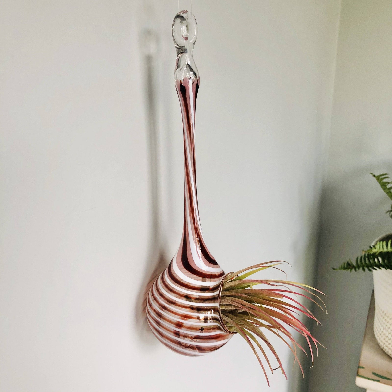 Air Plant Hanging Drop Vase 154 Luke Adams Glass Blowing Studio 