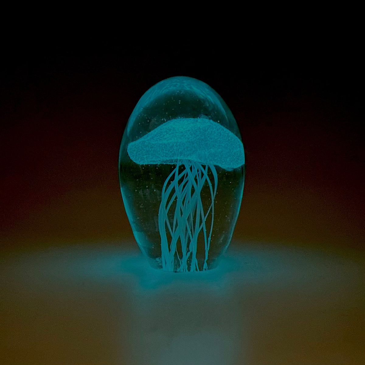 Glow in the Dark Jellyfish Paperweight Pebble, Blue Decor Chesapeake Bay 
