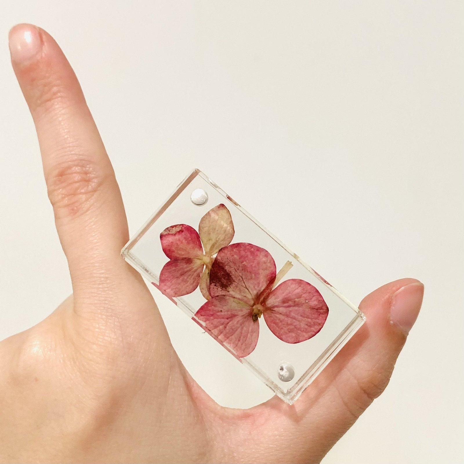 Little Magnetic Frame Canetti Design Group Inc. 