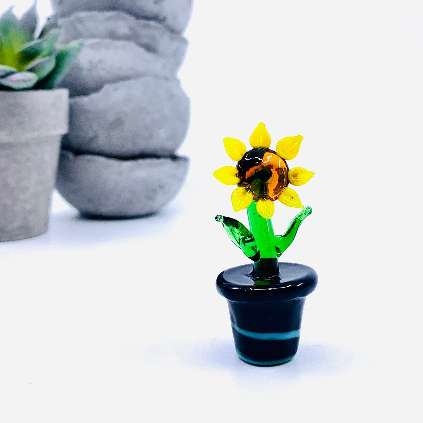 Potted Sunflower Miniature - 