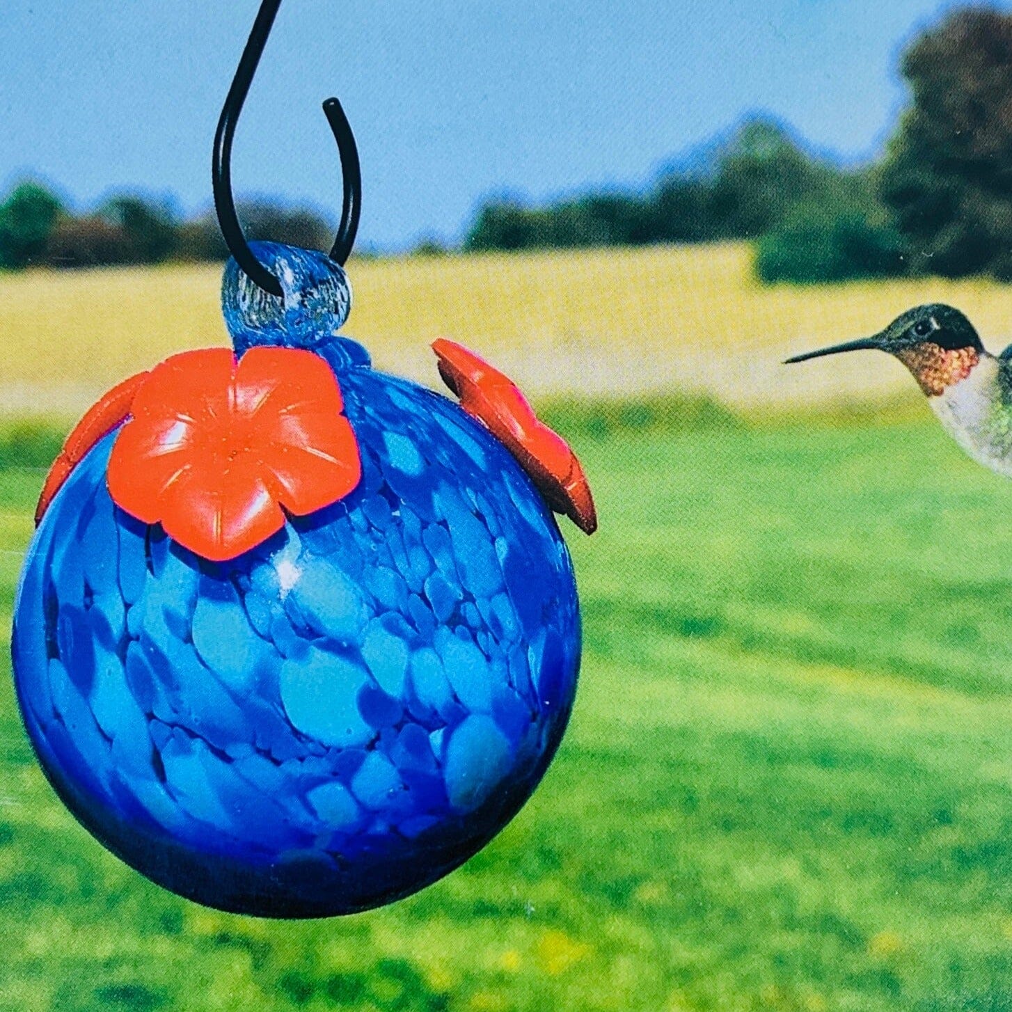 Glass Hummingbird Feeder, Blue (B) Decor Gift Essentials 