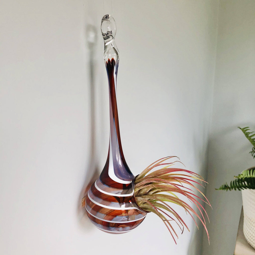Air Plant Hanging Drop Vase 15