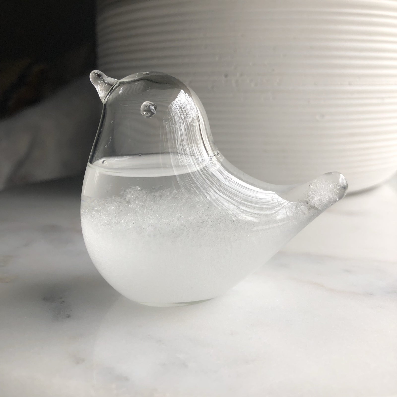 Bird Storm Glass Decor - 