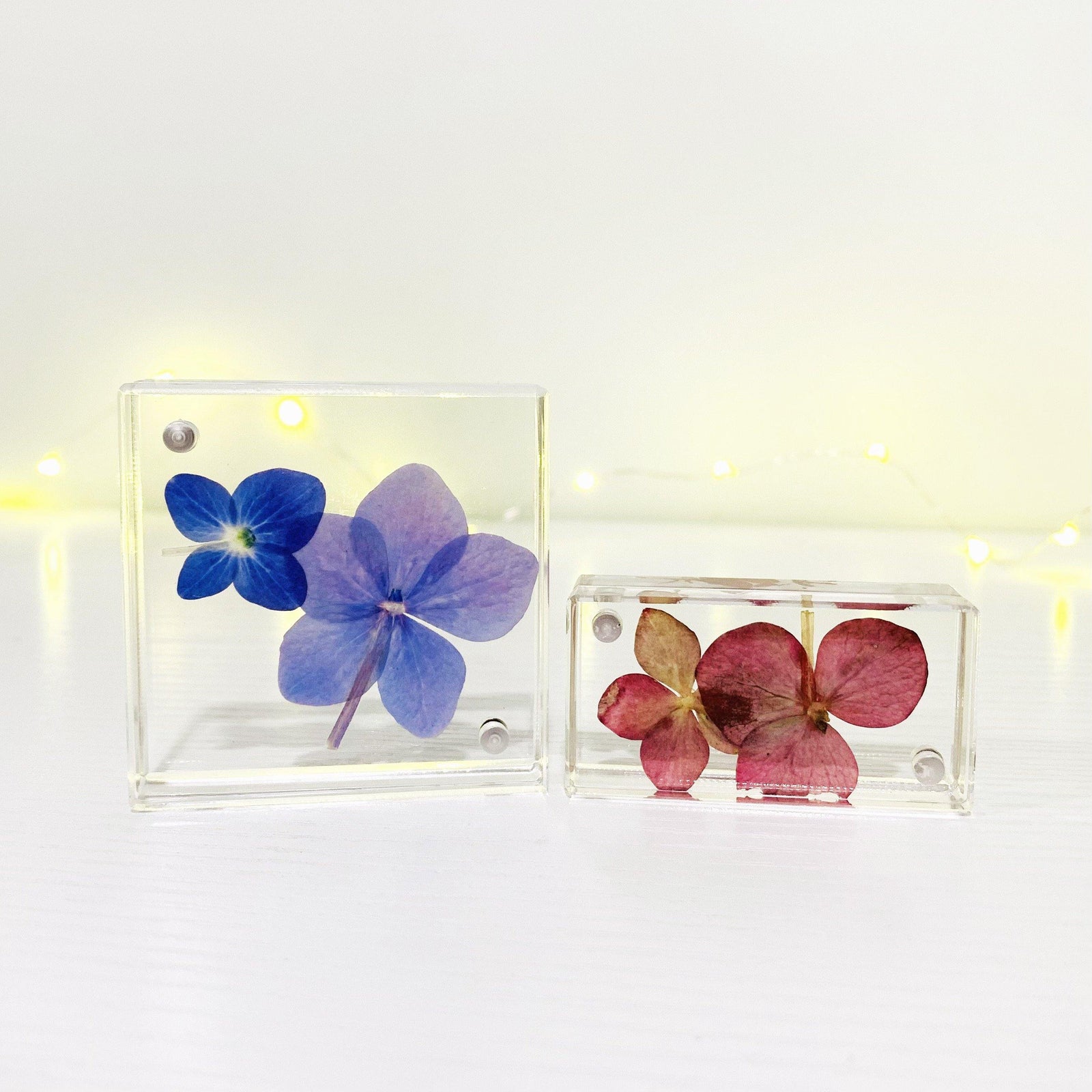 Little Magnetic Frame Canetti Design Group Inc. 