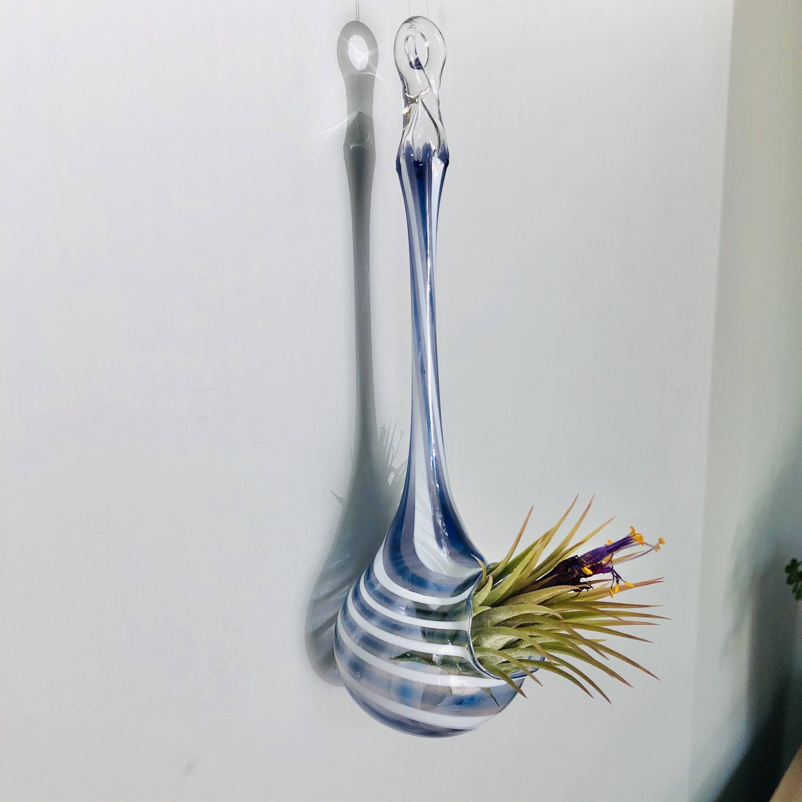 Air Plant Hanging Drop Vase 194 Luke Adams Glass Blowing Studio 