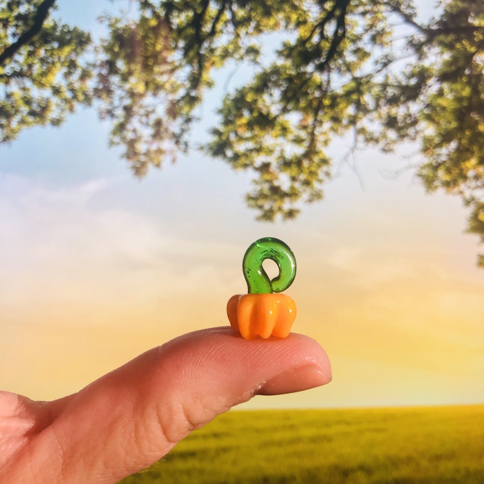 Teeny Teeny Tiny Pumpkin Luke Adams Glass Blowing Studio 