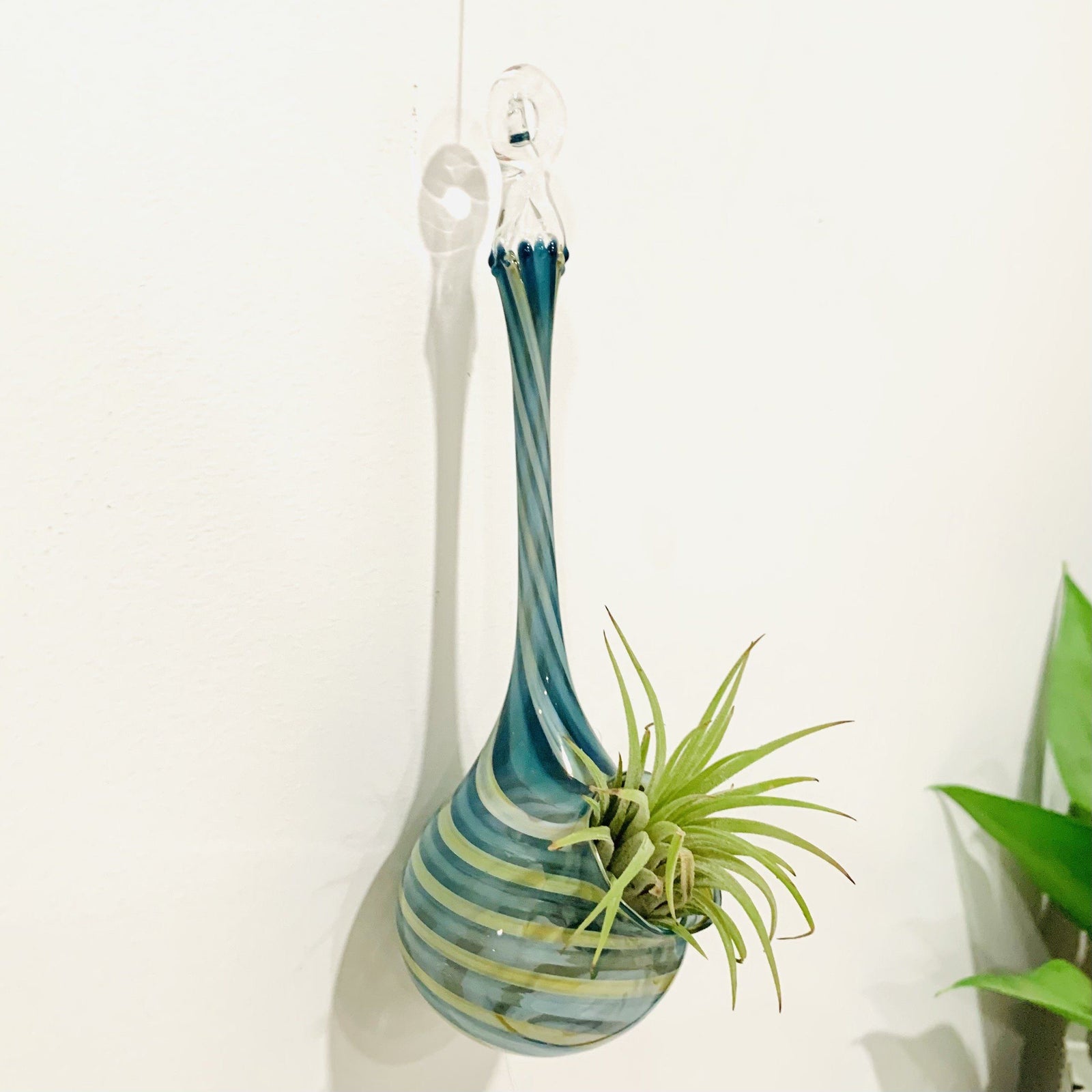 Air Plant Hanging Drop Vase 211 Decor Probstein Studios 