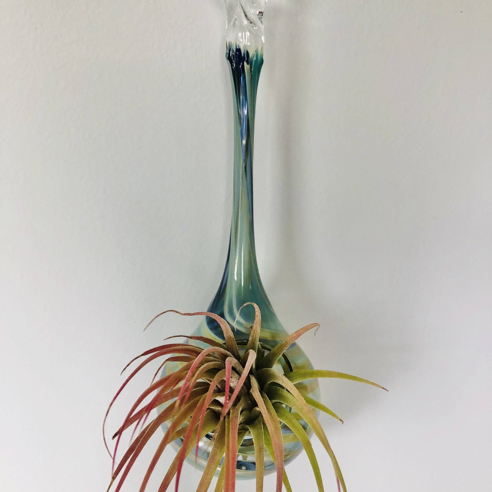 Air Plant Hanging Drop Vase 114 Luke Adams Glass Blowing Studio 