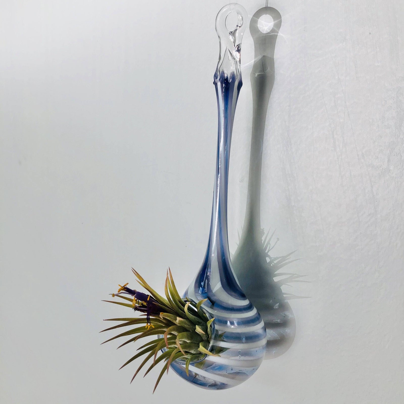 Air Plant Hanging Drop Vase 194 Luke Adams Glass Blowing Studio 