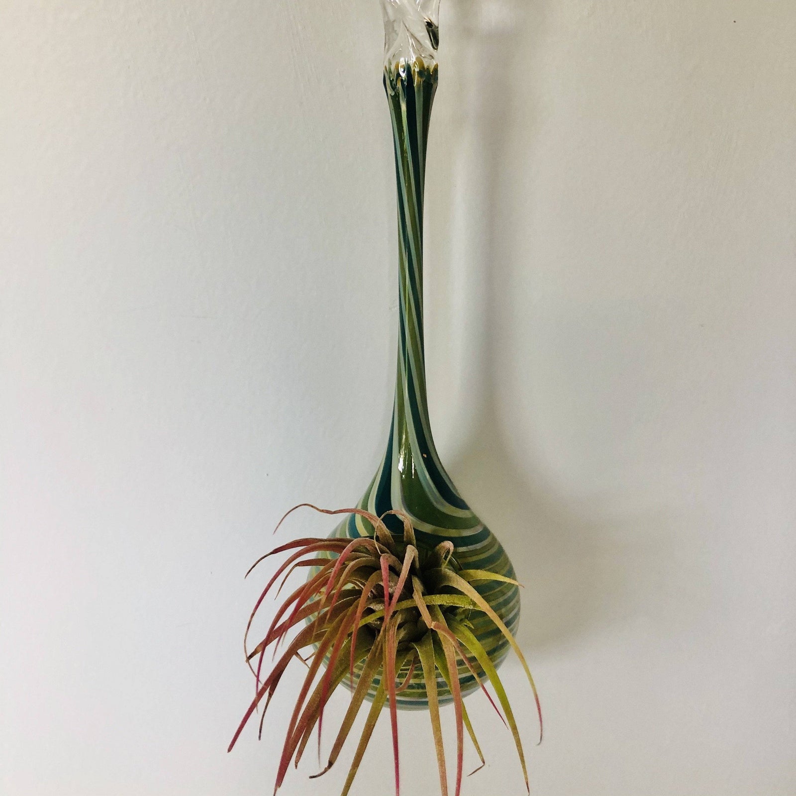 Air Plant Hanging Drop Vase 140 Luke Adams Glass Blowing Studio 
