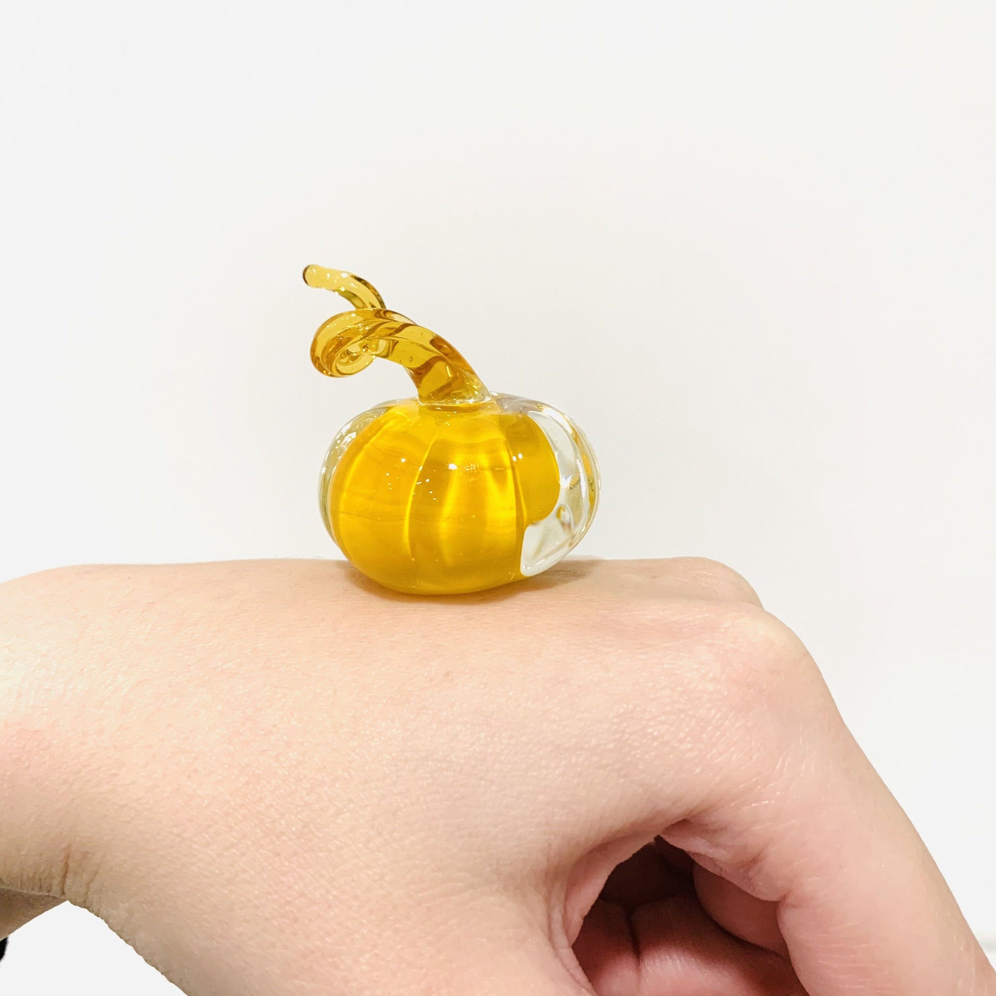 Little Curly Pumpkin, Yellow Miniature - 