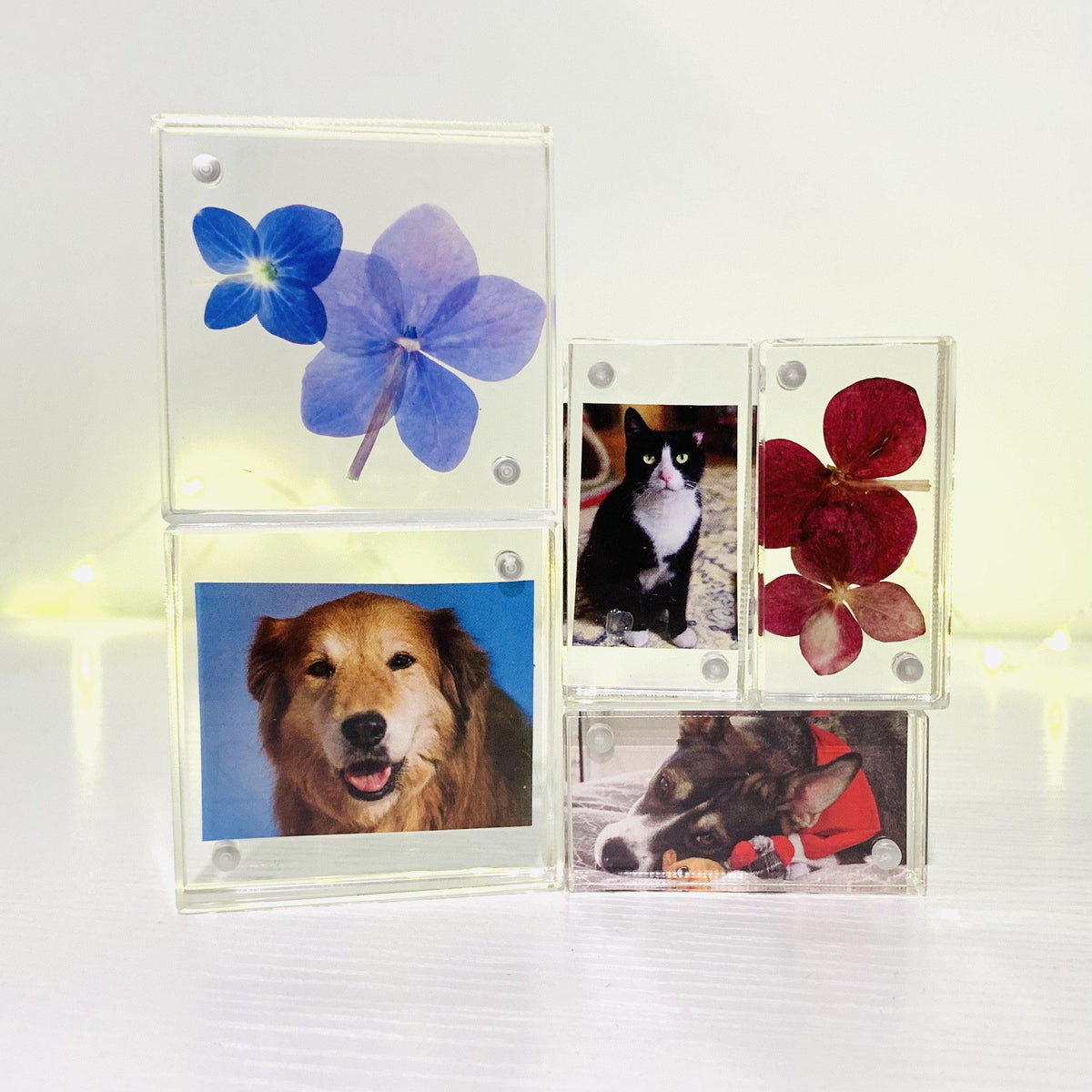 Recycled Glass Magnets - Luke Adams Glass Blowing Studio