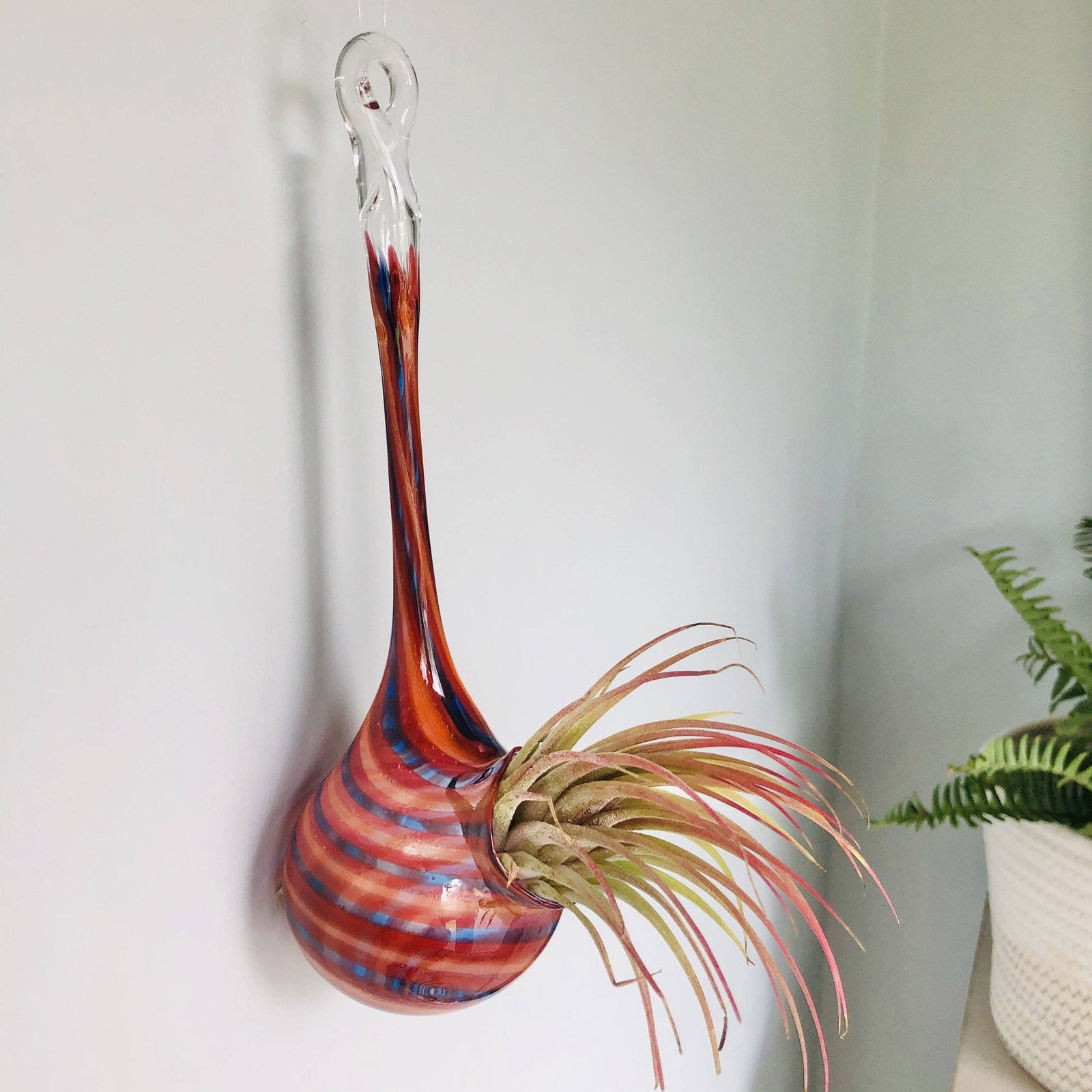 Air Plant Hanging Drop Vase 110 Luke Adams Glass Blowing Studio 