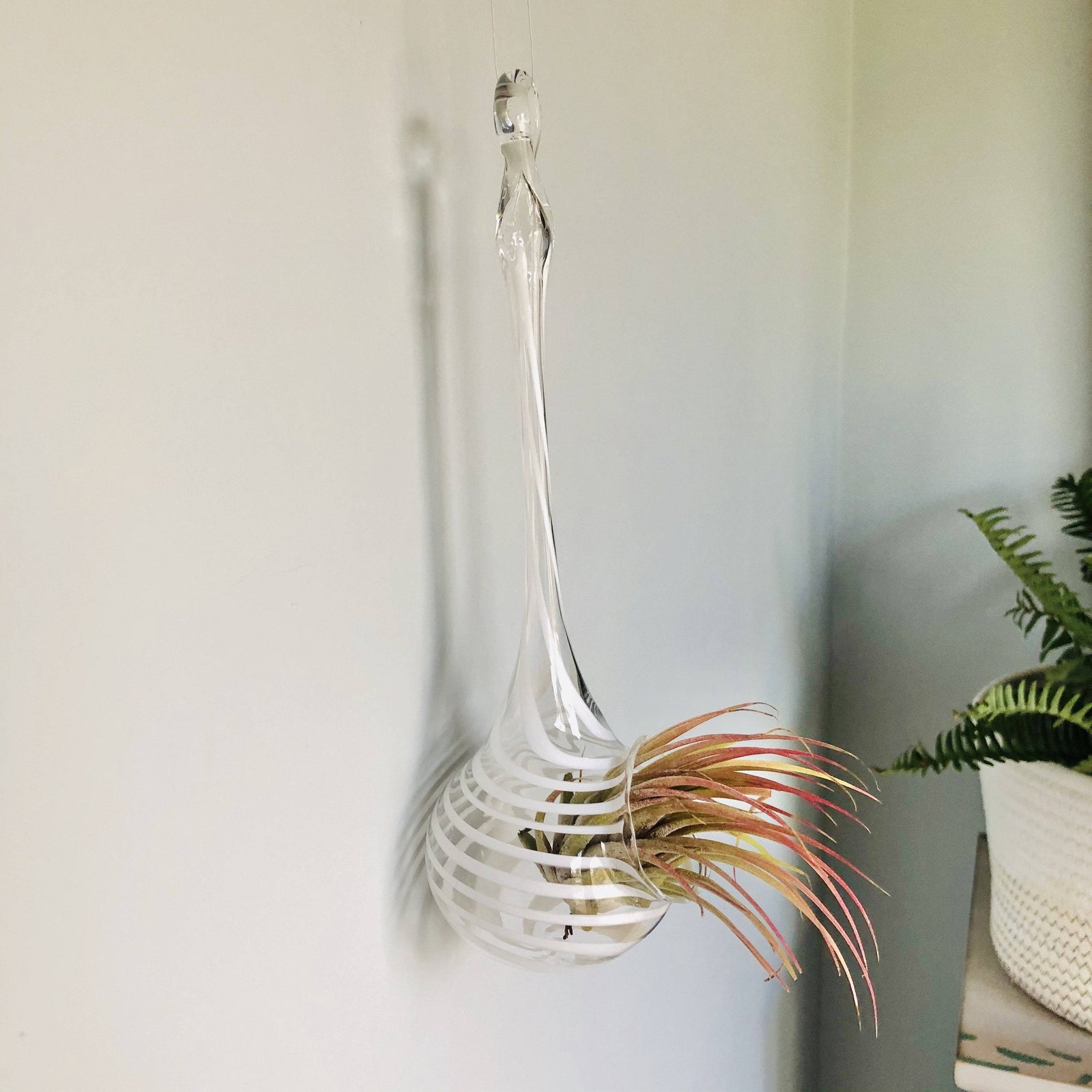 Air Plant Hanging Drop Vase 133 Luke Adams Glass Blowing Studio 