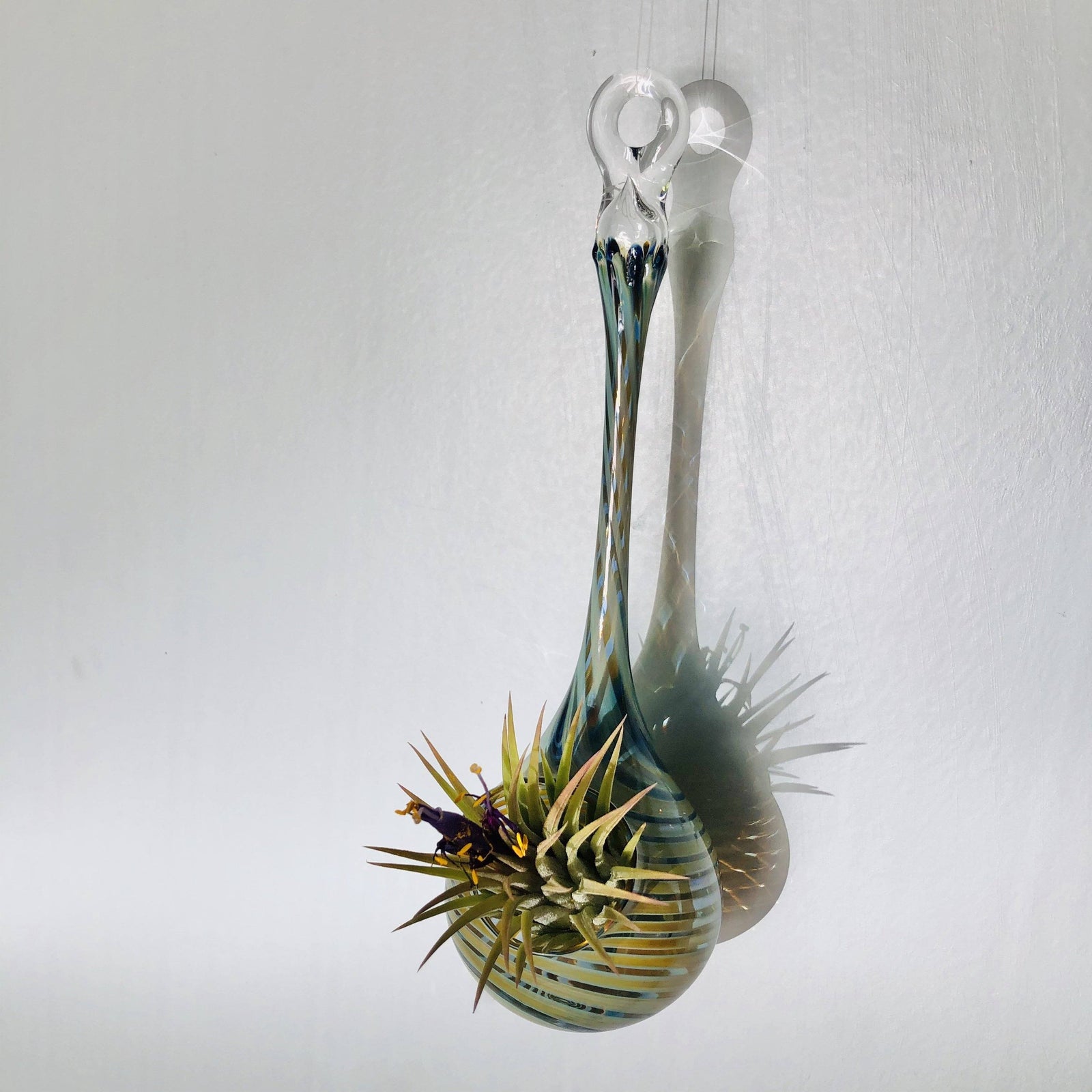 Air Plant Hanging Drop Vase 189 Luke Adams Glass Blowing Studio 