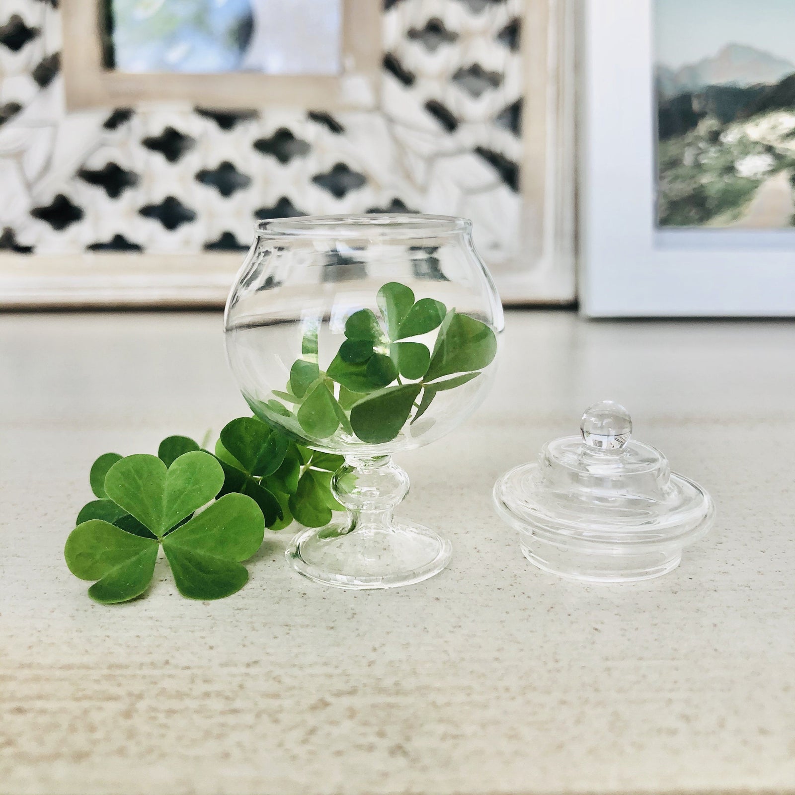 Tiny Glass Apothecary Jar Luke Adams Glass Blowing Studio 