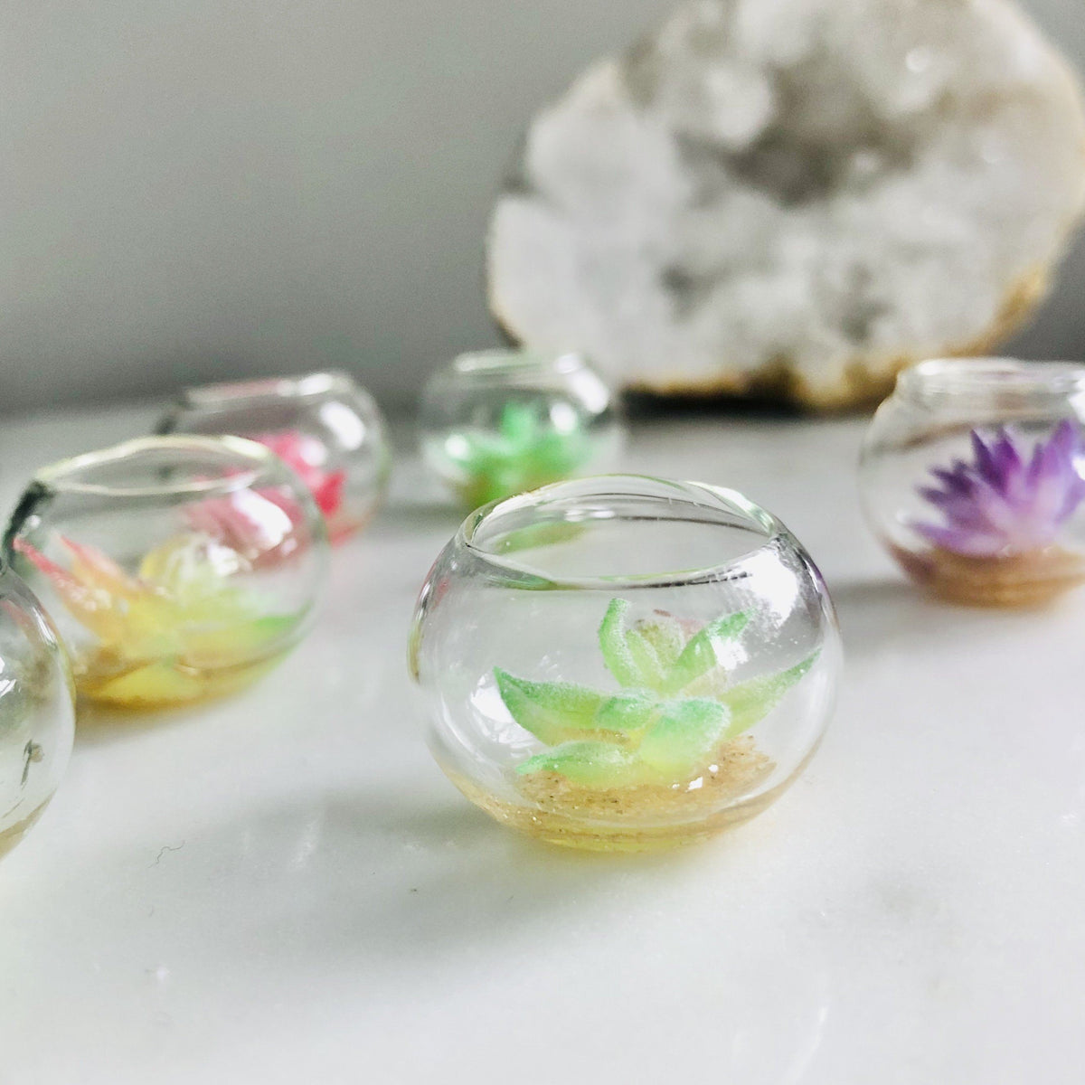 Tiny Succulent Bowl Miniature Luke Adams Glass Blowing Studio 