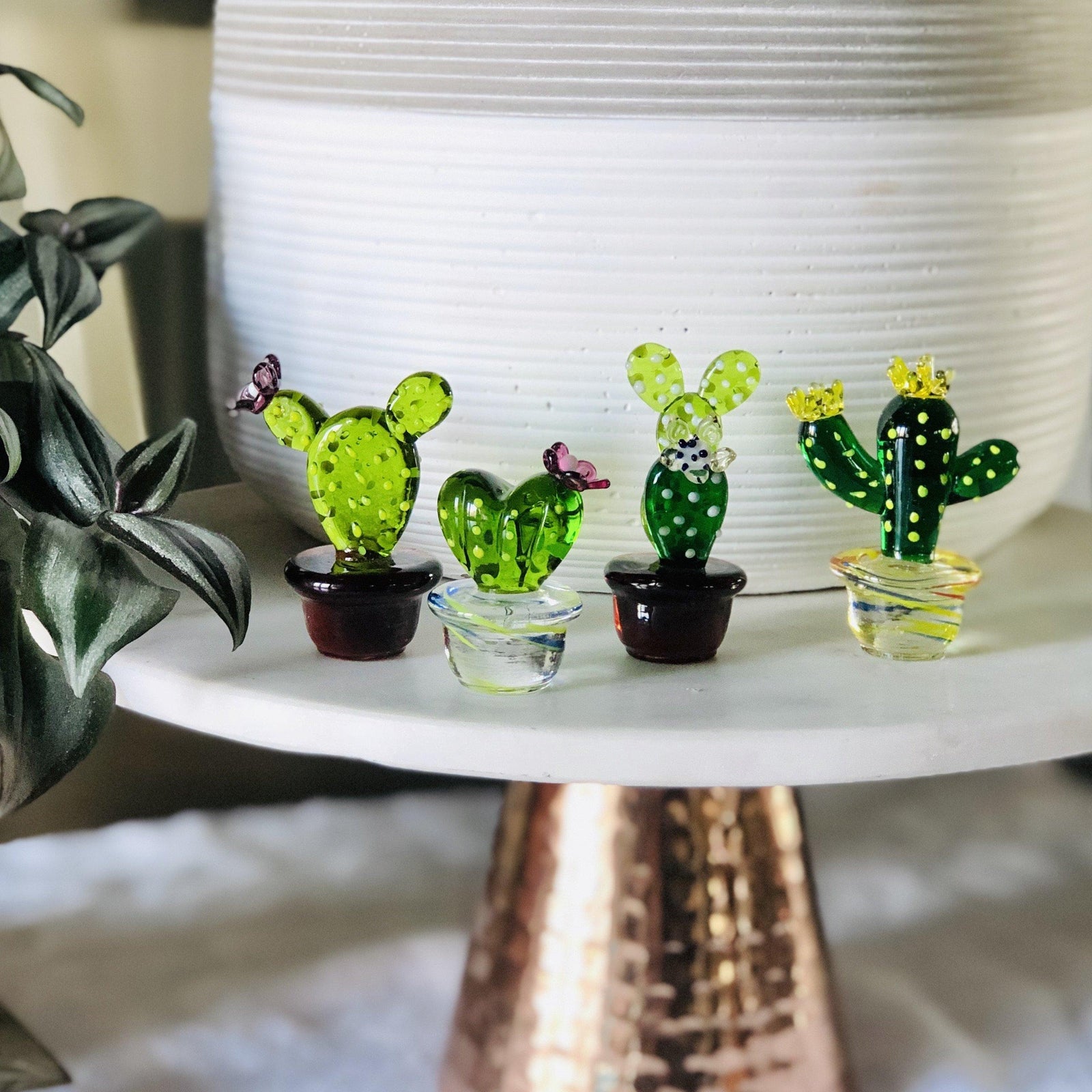 Glass Cactus Hoya Heart Luke Adams Glass Blowing Studio 