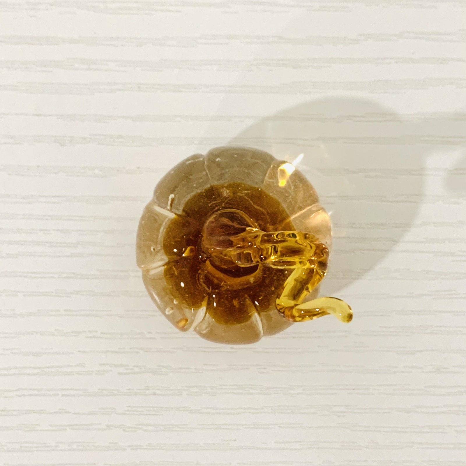 Little Curly Pumpkin, Amber Miniature - 