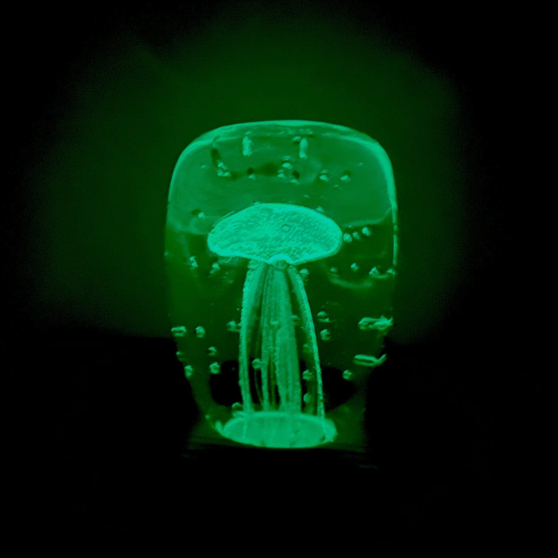 Glow in the Dark Jellyfish Paperweight Block, Green Decor Chesapeake Bay 